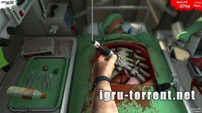 Surgeon Simulator 2013 Anniversary Edition (2013) /   2013