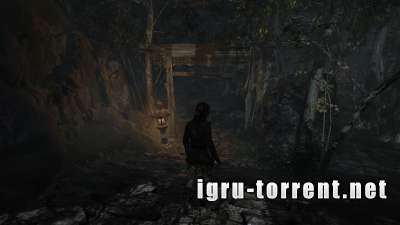 Tomb Raider Game of the Year Edition (2013) /       